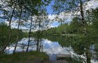Объект №136323380