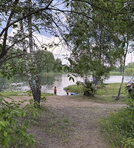 Объект №137068242