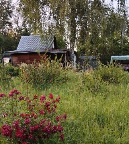 Объект №111522594
