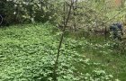 Объект №136035942
