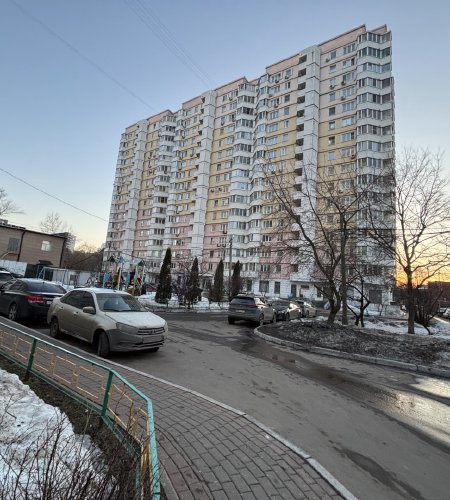 Объект №133543741