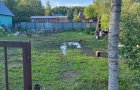Объект №100398228