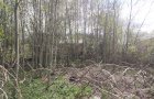 Продается участок в д. Марьино
