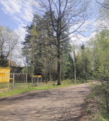 Объект №100398228