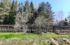Объект №135676670