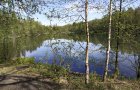 Объект №100398228