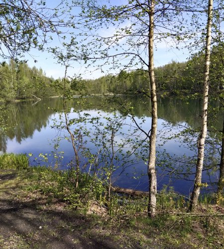 Объект №100398228