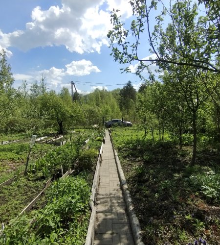 Объект №105846038