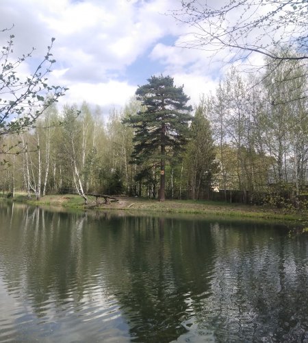 Продается участок в д. Марьино