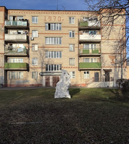 Объект №134225269