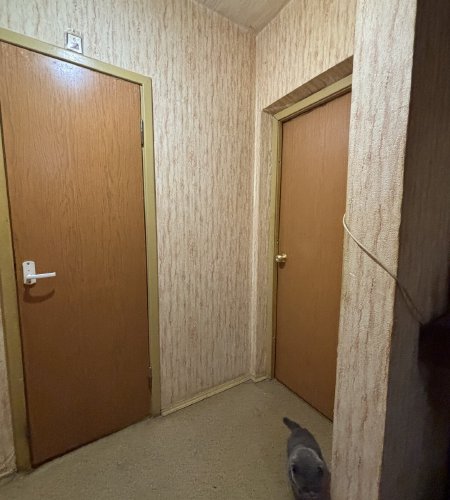 Объект №133543741