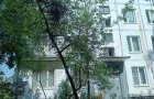 Объект №136320150
