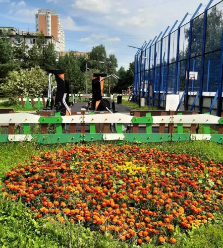 Объект №141784360