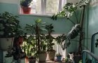 Объект №146137683