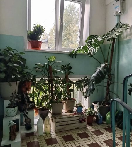 Объект №146137683