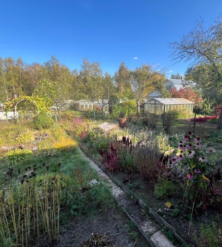 Продается дача в Ногинском районе