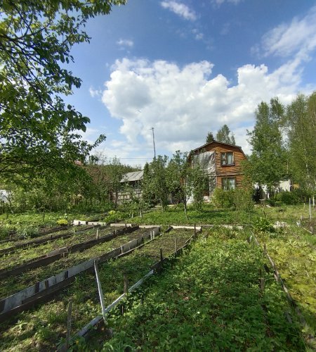 Объект №105846038