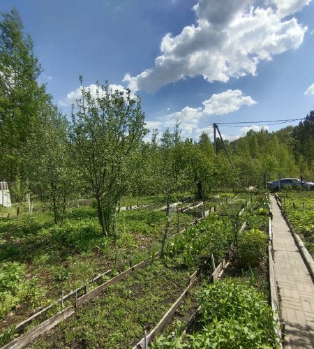 Объект №105846038