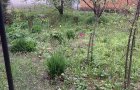 Объект №136035942