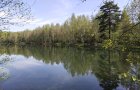 Объект №100398228