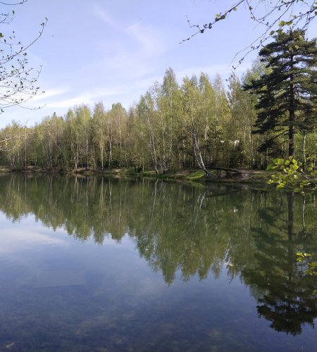 Объект №100398228